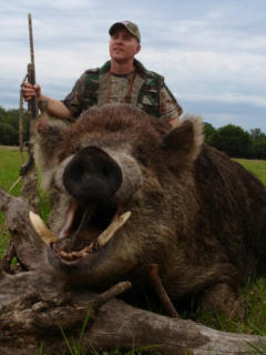 Florida Hog Hunting