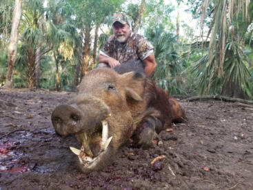 Hunt Hogs at the Ranch