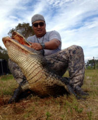 Florida Giant Alligator Hunts