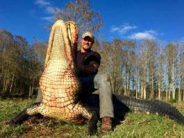 Florida Alligator Trophy Hunts