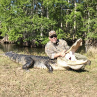 South Florida gator hunting