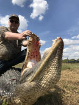 Alligator hunting near me