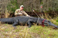 Alligator Hunts FL