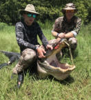 Tampa Florida gator hunting