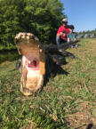 Father and Son Alligator Hunt