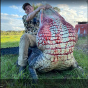 Gator hunting near me