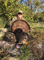 FL turkey hunts