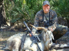 Florida Exotic Ram Hunting