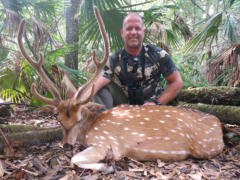 Florida Axis Deer