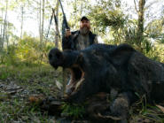 Hog hunting in Florida