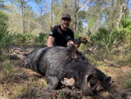 Giant Hog Hunts in FL