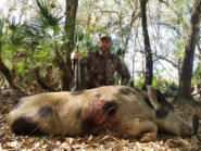 Hog hunting in Florida