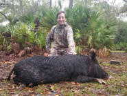 Rifle Hog Hunt