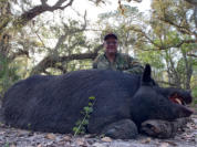 Florida extreme trophy hog hunting