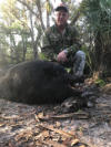 350 pound hog hunt