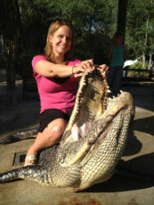 Naples Alligator Hunts