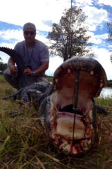 Florida Trophy Alligator Hunts in Naples