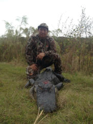 Florida Alligator Hunting